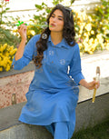 Cornflower Blue Collared Neck Embroidered A-Line Ethnic Co-ord Set