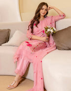 Organza Embroidered Straight 3 Piece Kurta Set