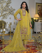 Shimmer Chiffon Embroidered Straight 3 Piece Kurta Set