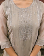 Organza Embroidered Straight 3 Piece Kurta Set