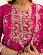 Skylee Net Embroidered Straight 3 Piece Kurta Set For Woman