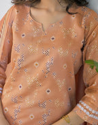 Peach Beige Notched Round Neck Traditional Handloom Inspired Weave & Print Straight 3 Piece Kurta Set With Dupatta
